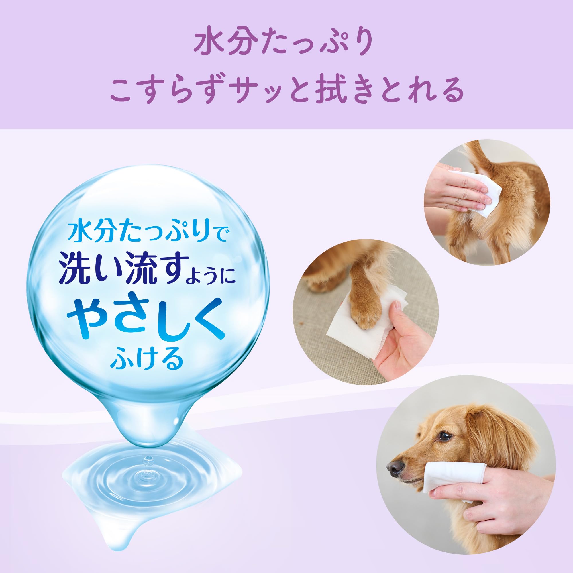 【特価セール】キミおもい 肌にやさしいウエットティシュー 純水99％ 70枚入× Amazon | エリエールPet キミおもい 肌にやさしいウェットティシュー